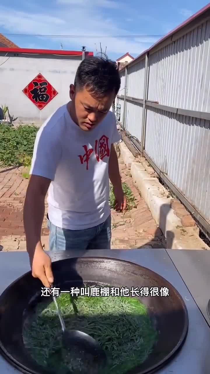 黄金菜大包子真带劲