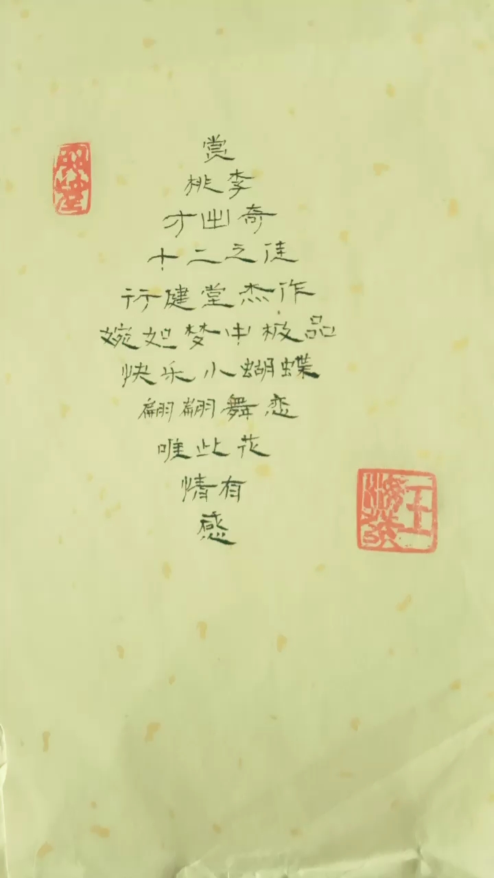 藏尾诗 赏李奇佳作品蝶恋花有感(钢笔隶书)