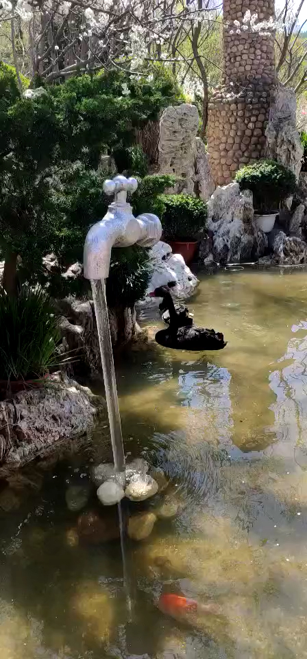 #五一出游记#黑天鹅芭蕾舞