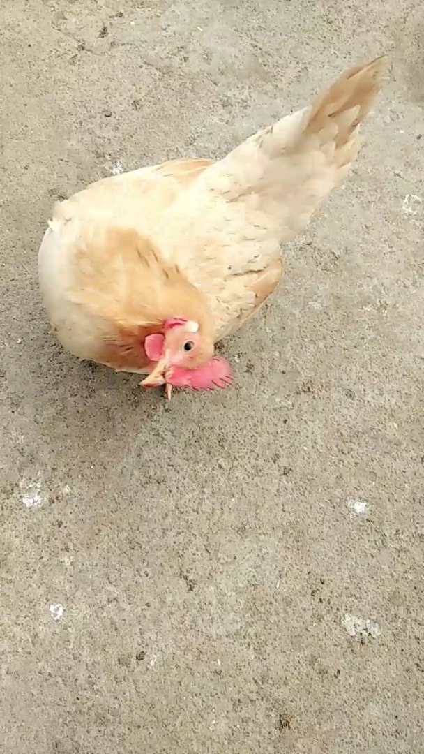 分享视频