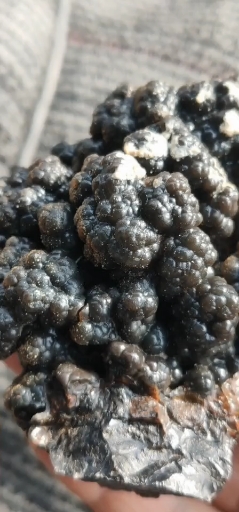 战国红玛瑙原石奇石象形黑色花菜花玛瑙瘤