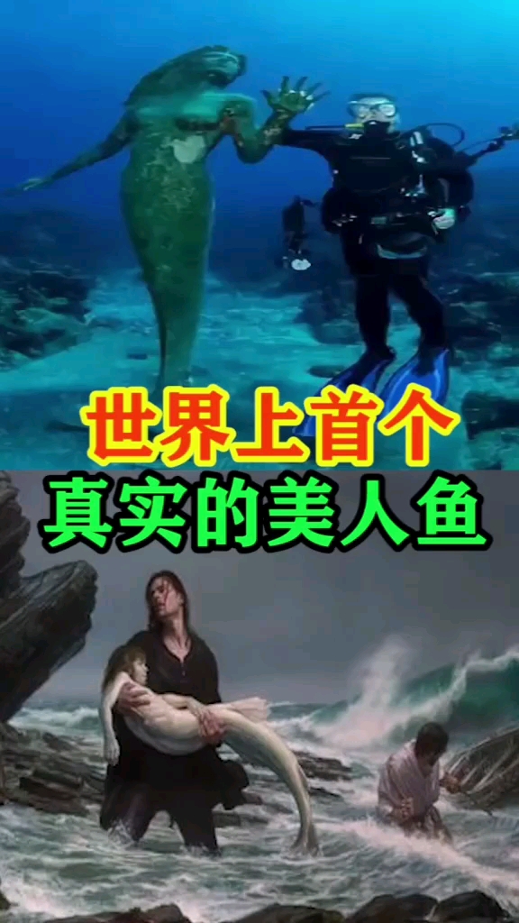世界上首个真实的美人鱼