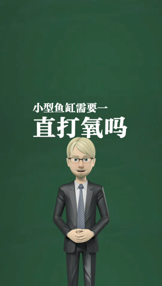 小型鱼缸需要一直打氧吗