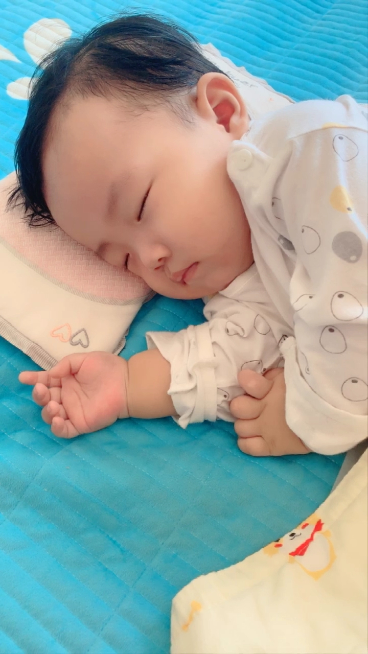 小金鱼睡的多可爱