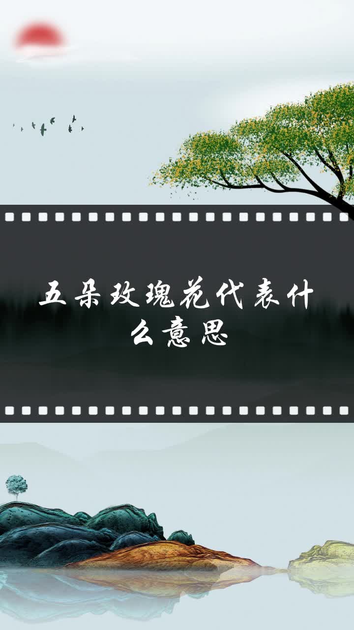 五朵玫瑰花代表什么意思