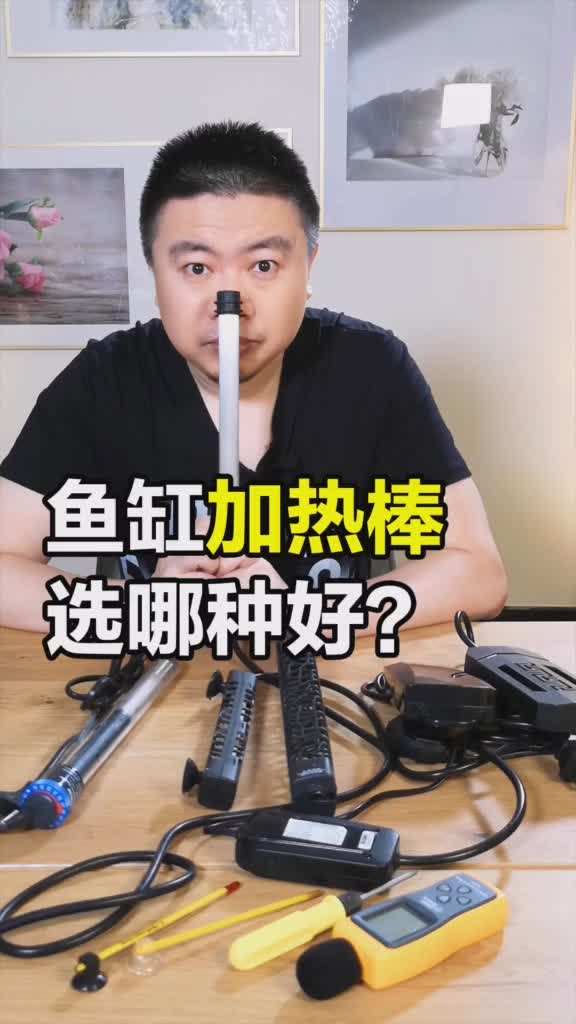 鱼缸加热棒种类很多玻璃不锈钢石英PTC给你讲讲每种加热棒的优缺点 养鱼 观赏鱼