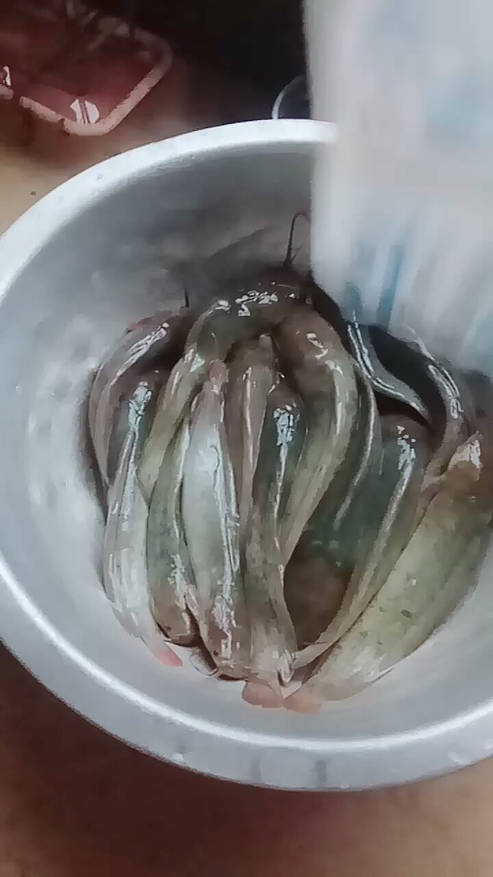 塘角鱼的杀法,不用动刀!