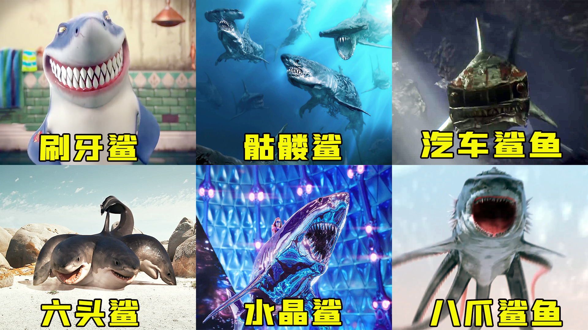 六条奇葩鲨鱼,骷髅鲨鱼压迫感十足,汽车头鲨鱼你见过吗?