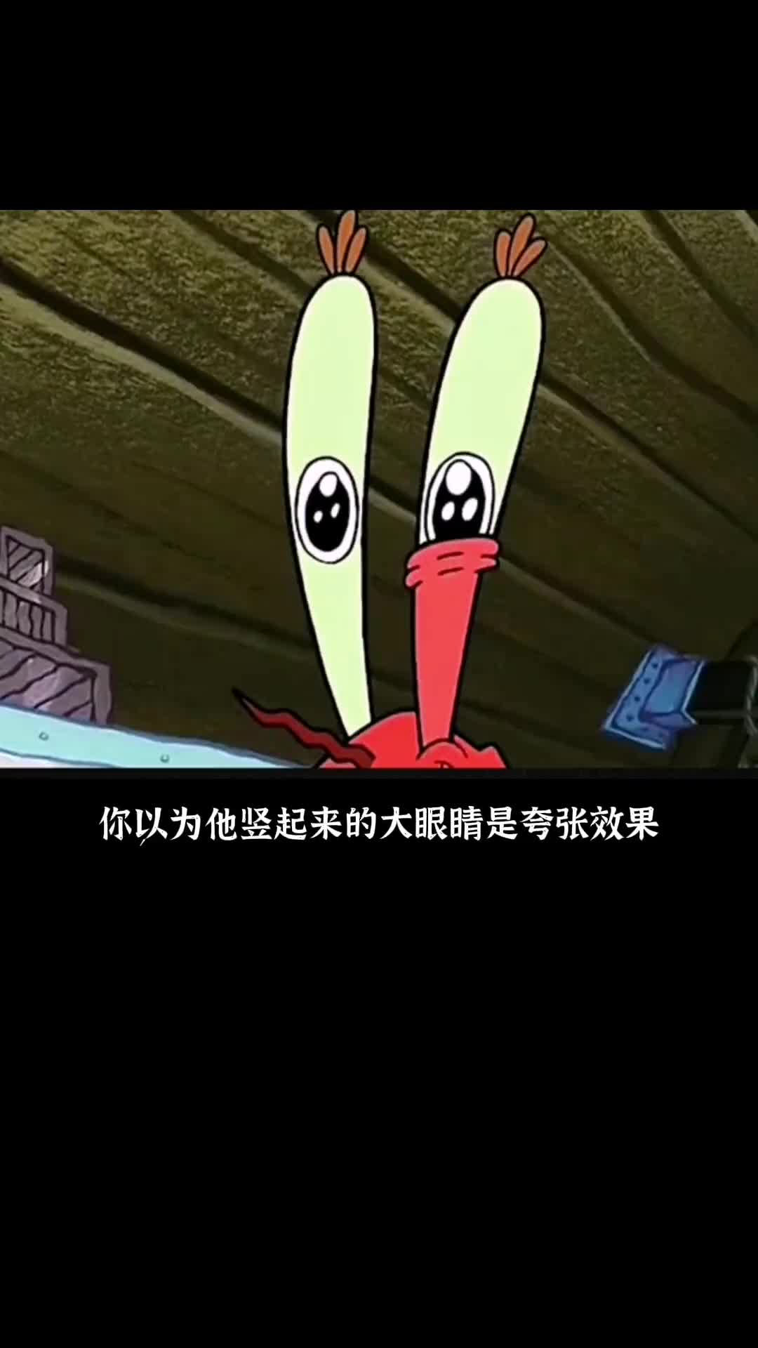 海绵宝宝中真实存在的生物