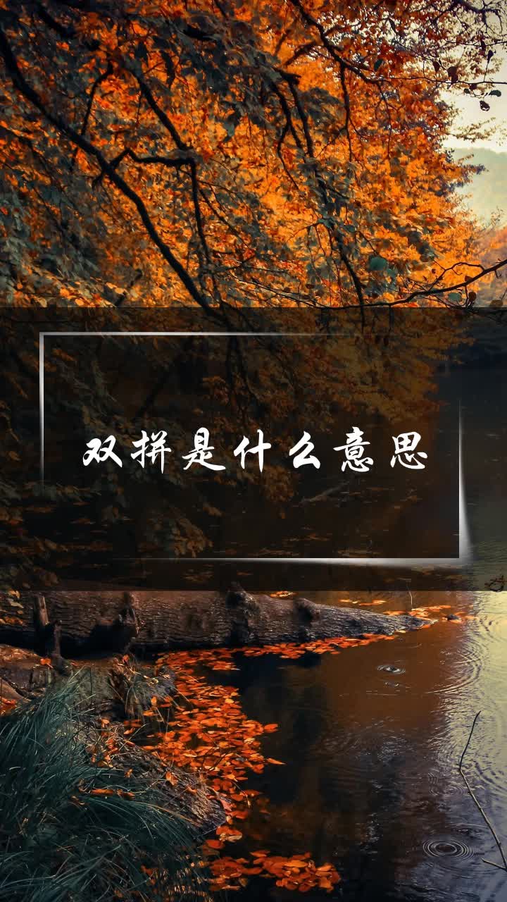 双拼是什么意思
