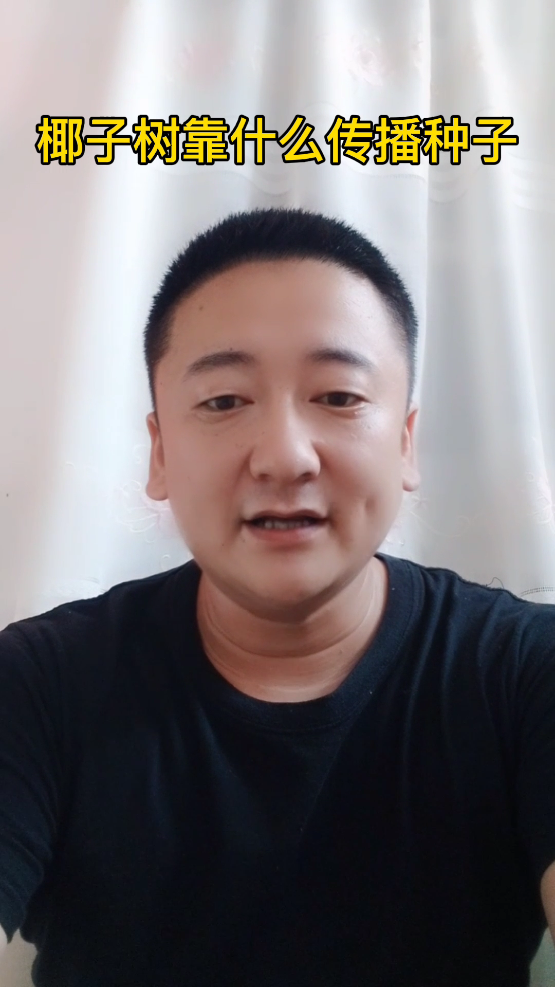 椰子树靠什么传播种子