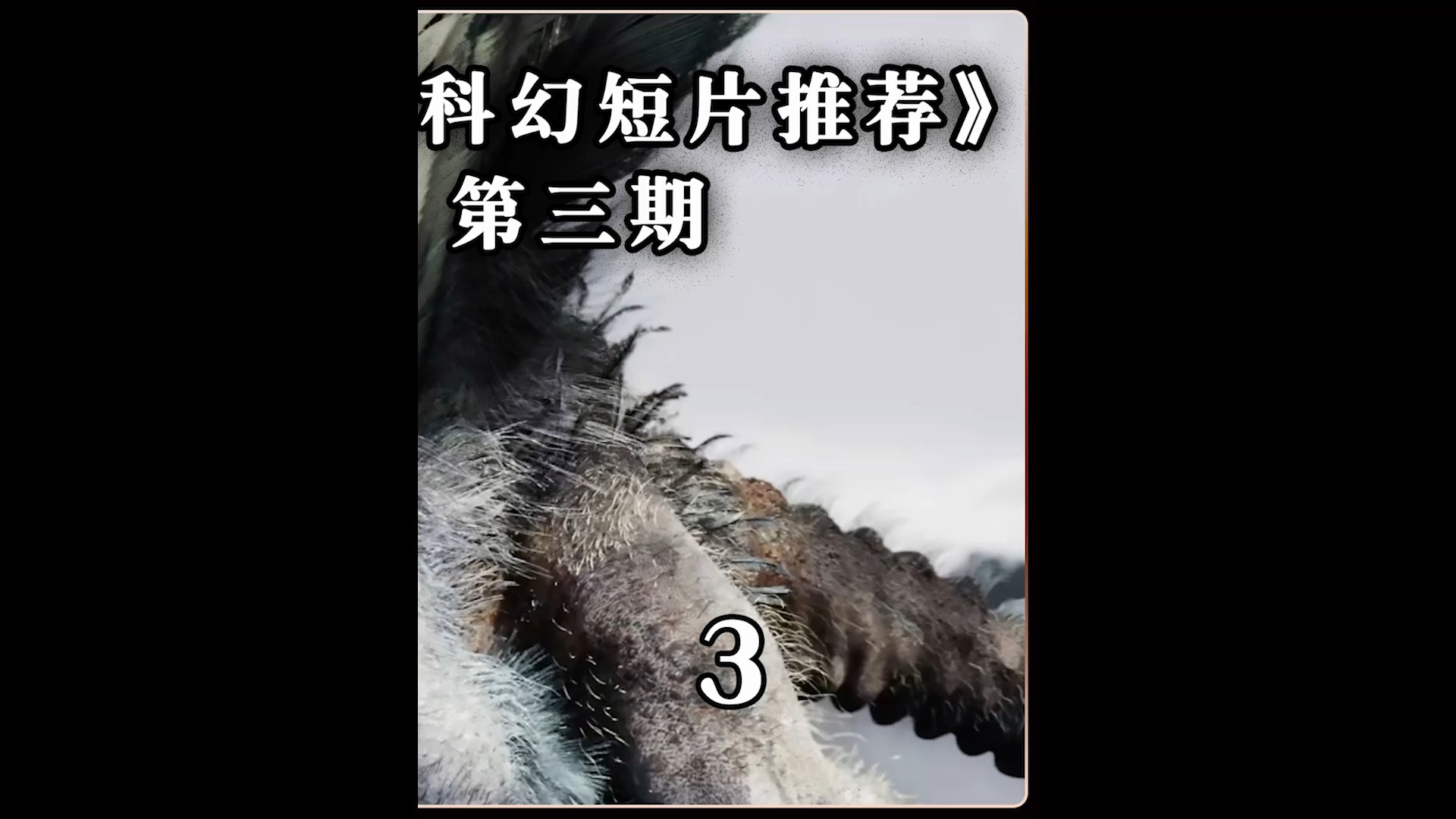 #好看电影推荐,感谢官方让我上热门#十五部科幻短片推荐,不好看,我倒立洗头