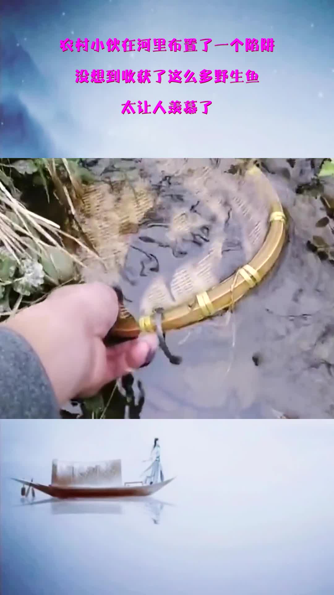 厉害了,没想到收获了这么多野生鱼,大家看出什么了吗!