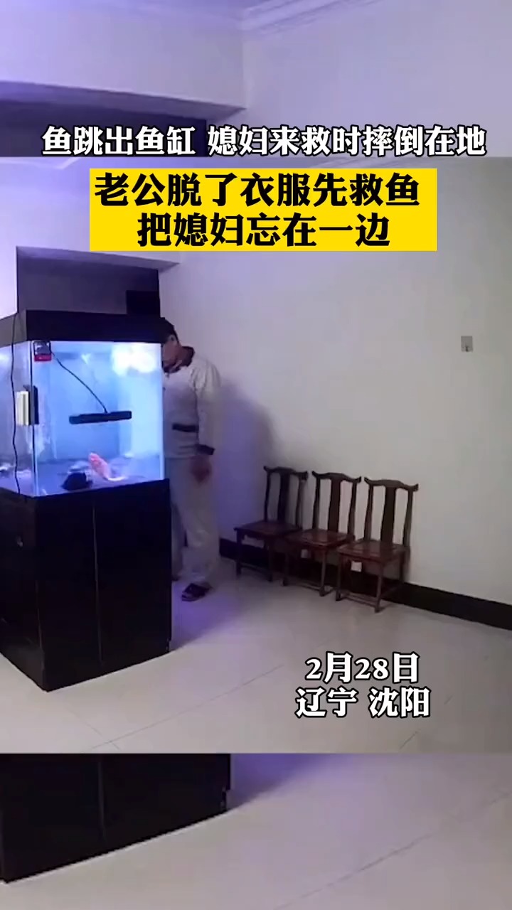 鱼跳出鱼缸,媳妇来救时摔倒在地,老公脱了衣服先救鱼把媳妇忘在一边?