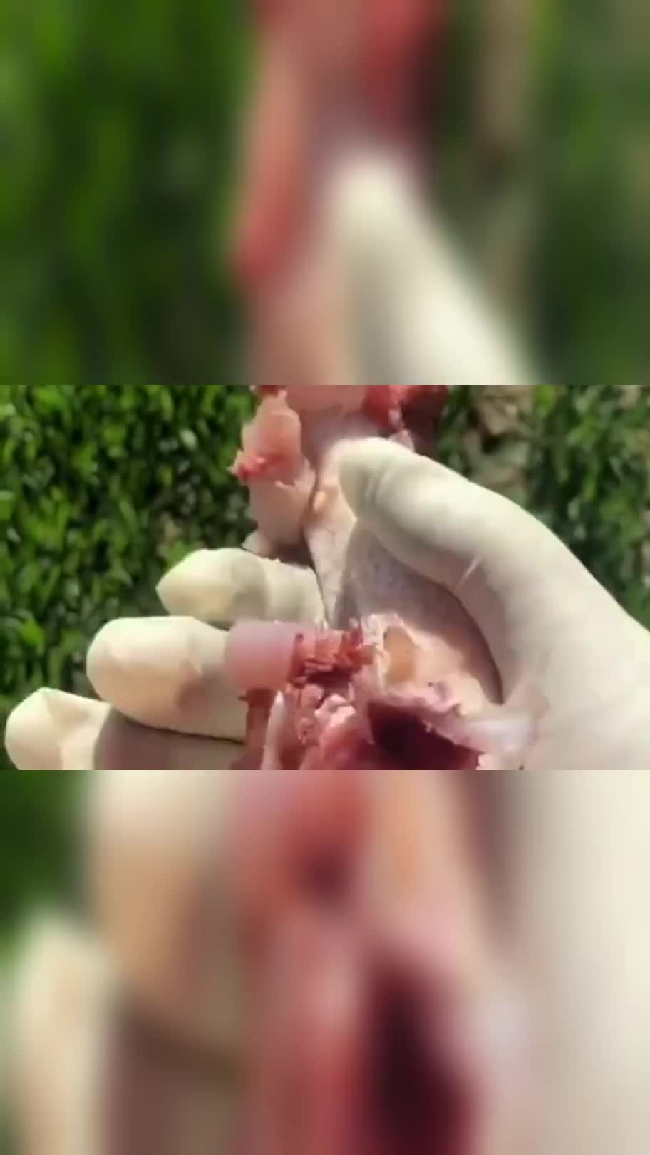 广东美食小姐姐做“剔骨牛肉”,这苍蝇上去都打滑,狗子见了都流泪啊!