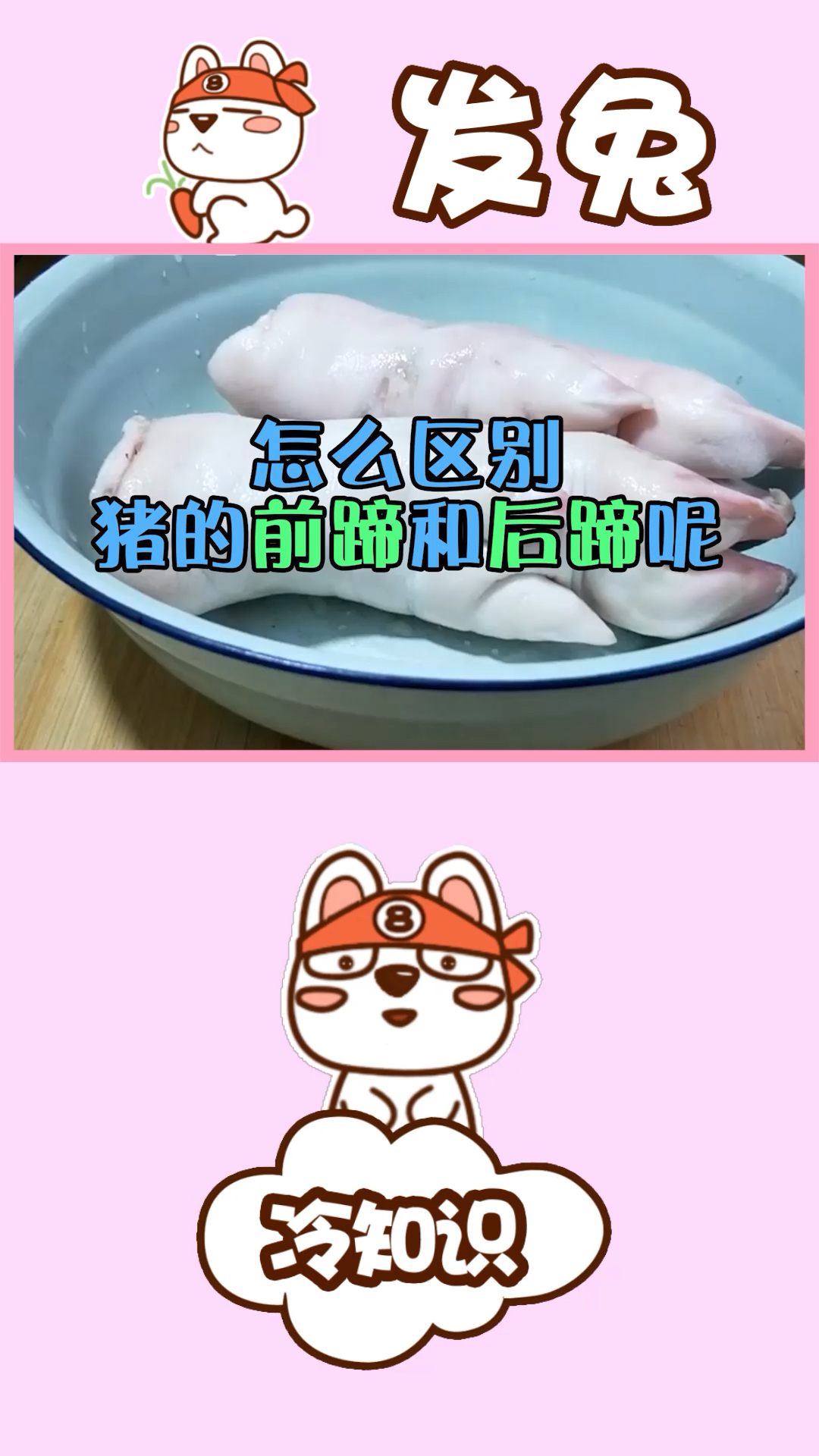 猪蹄的前蹄和后蹄有什么区别?怎么区分呢?
