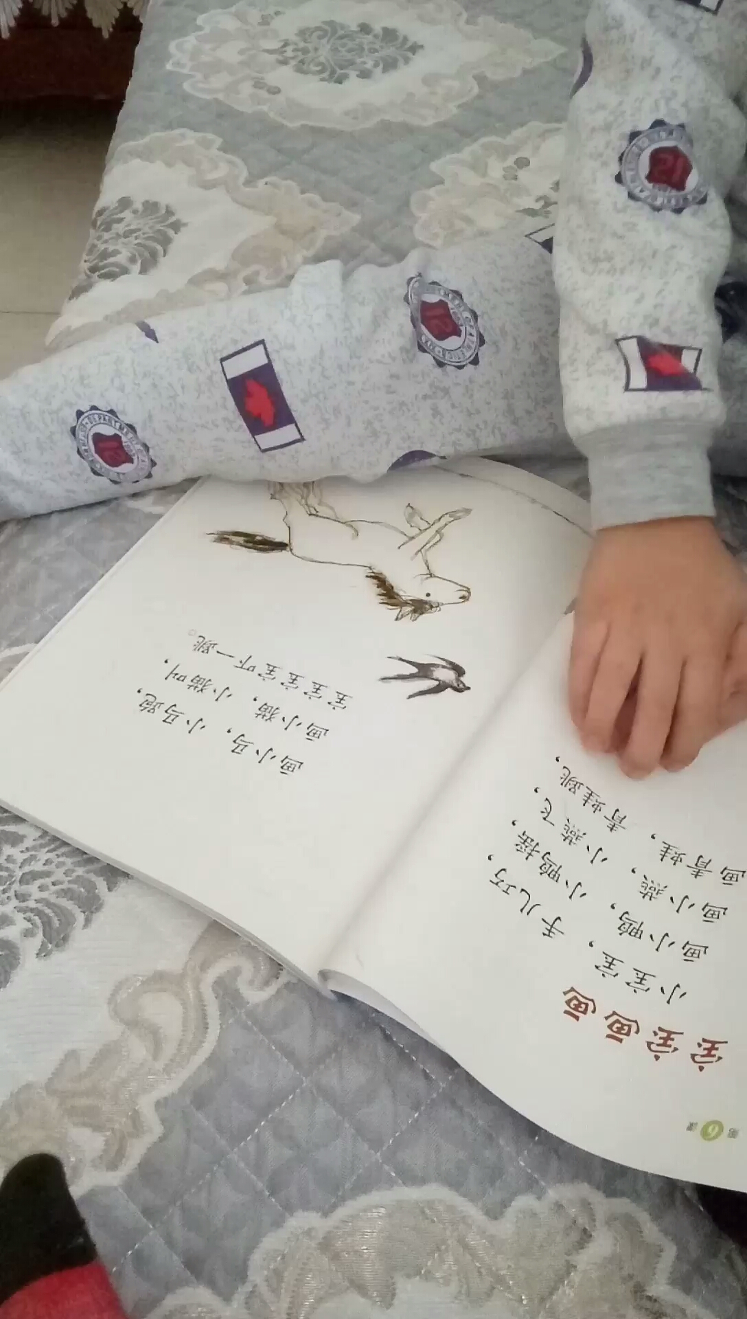 分享视频