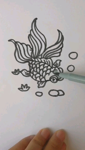 #每天更新简笔画#教你画彩色小金鱼。