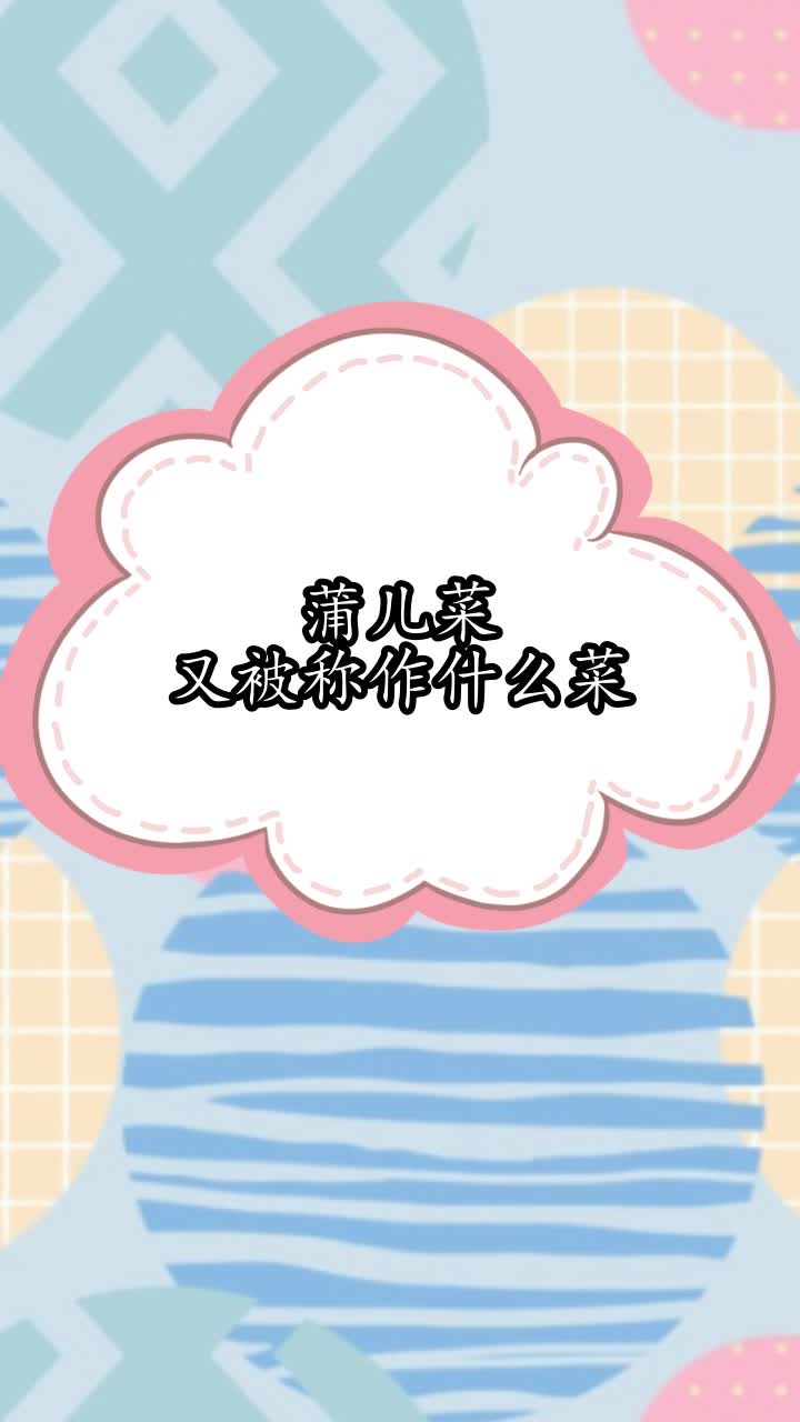蒲儿菜又被称作什么菜,你听懂了吗