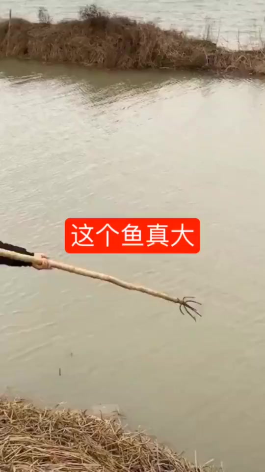 #搞笑段子#知道我为什么钓不到鱼了,因为钩子少