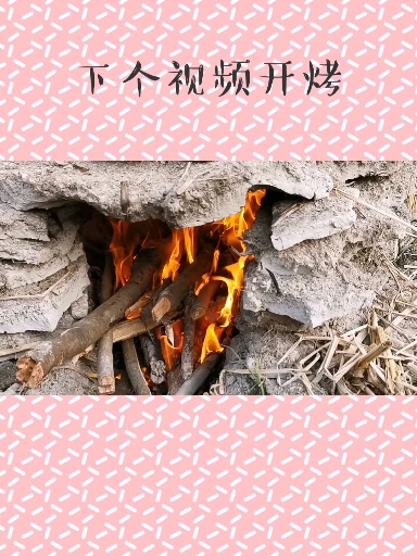 #我的秘密食谱#来烤个鸡