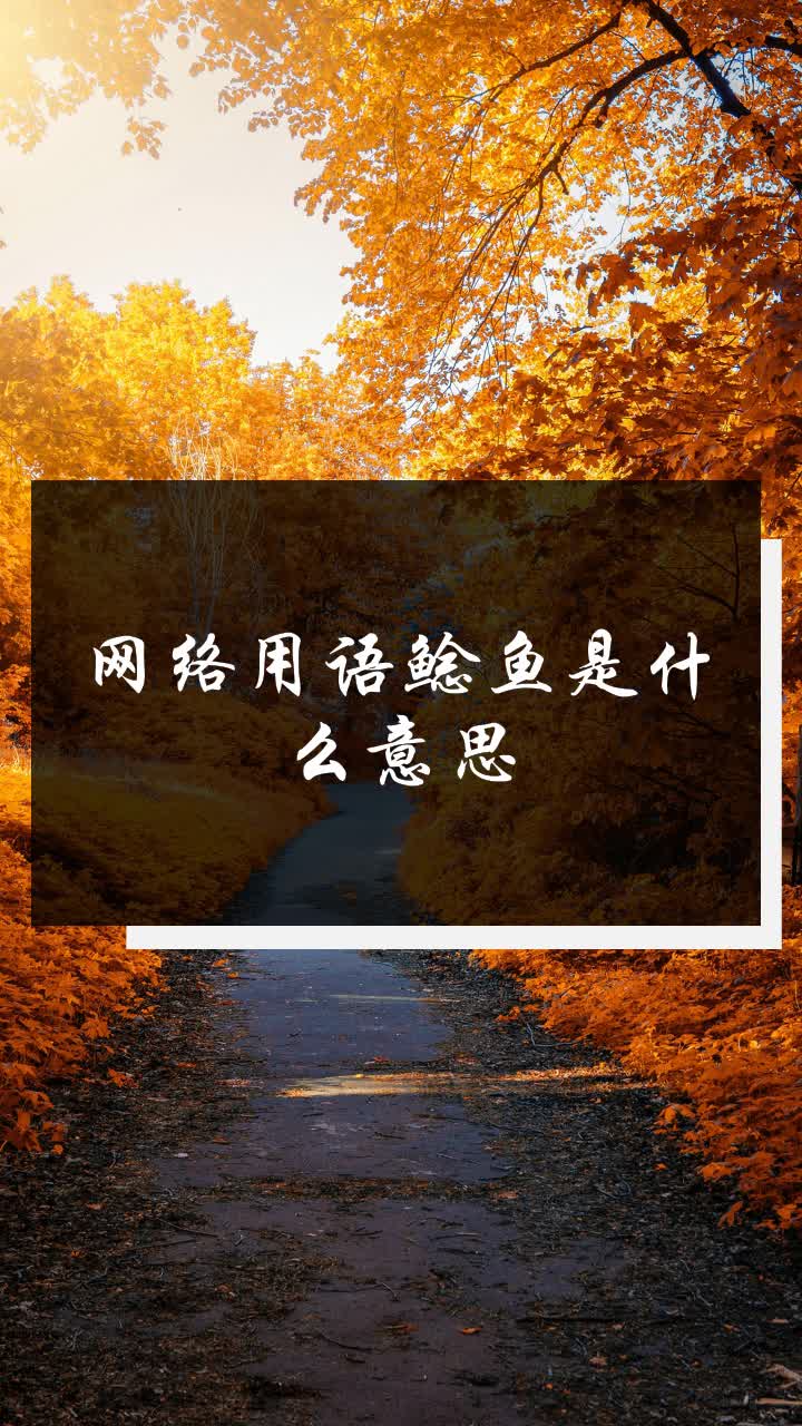 网络用语鲶鱼是什么意思
