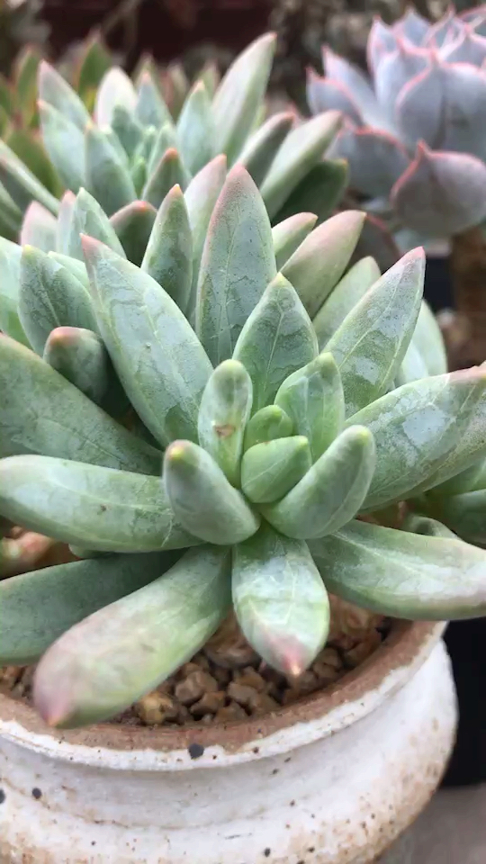 努力不一定有结果,但过程一定很充实。