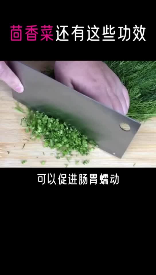 茴香菜还有这么多功效,你知道吗,