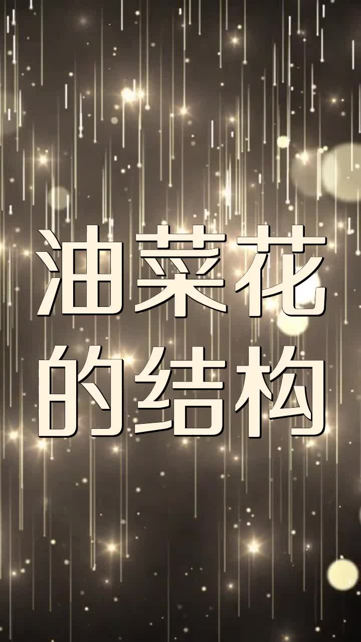油菜花的结构