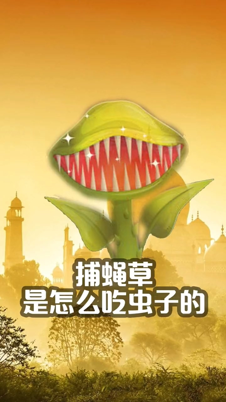 #涨知识#捕蝇草是怎么吃虫子的?