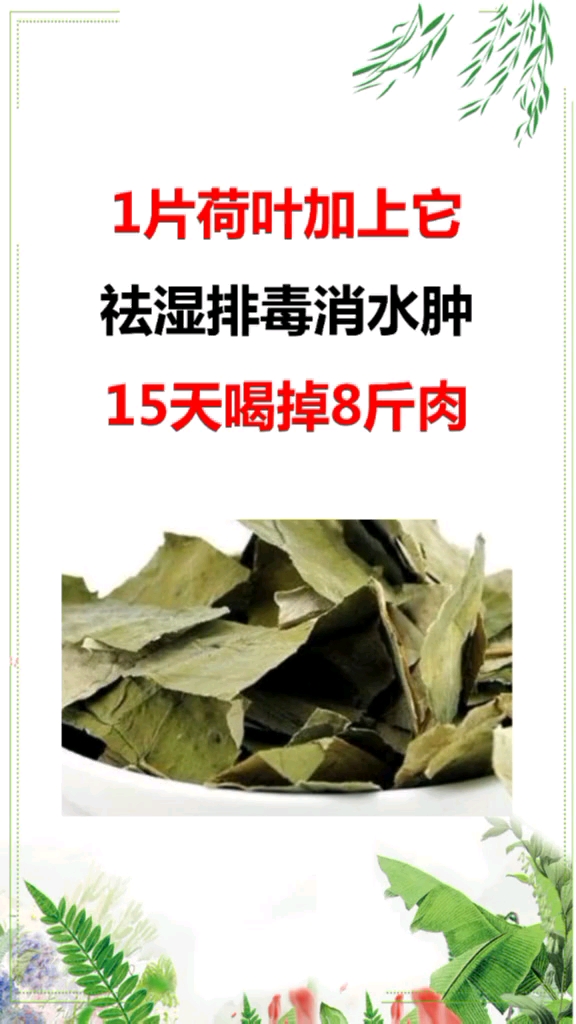 荷叶的功效