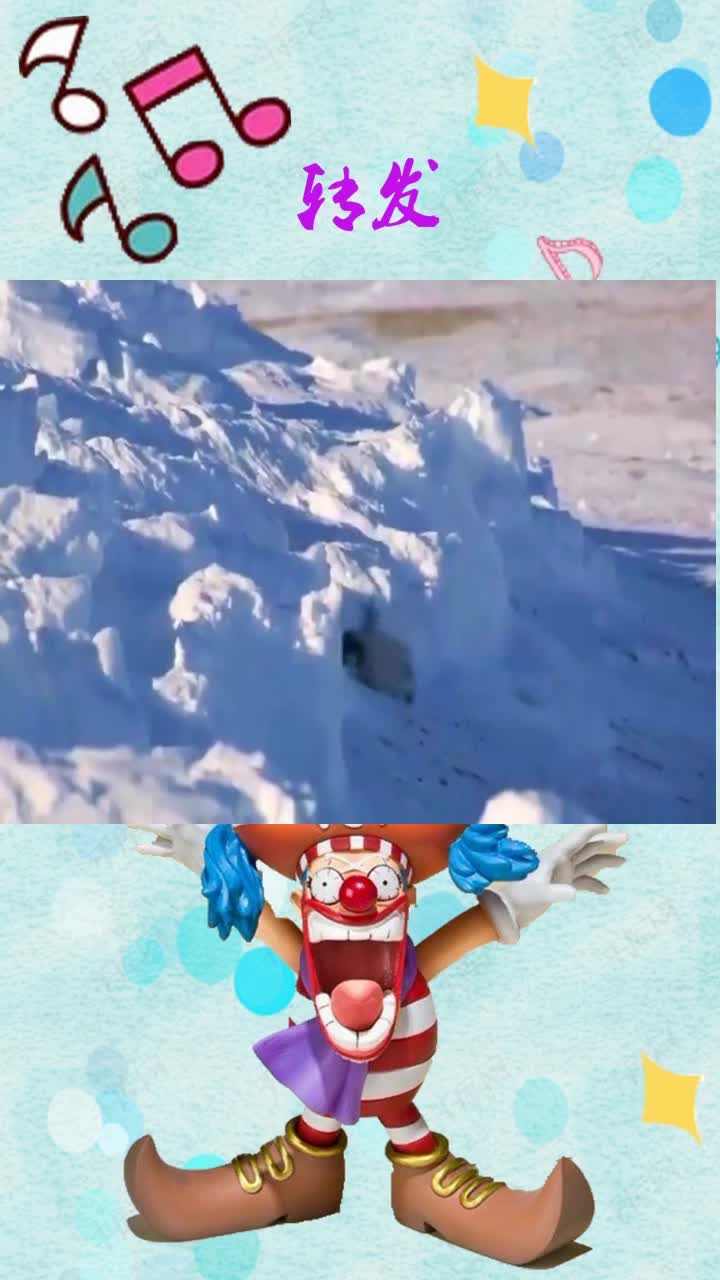 小企鹅摔倒合集,也太可爱了吧