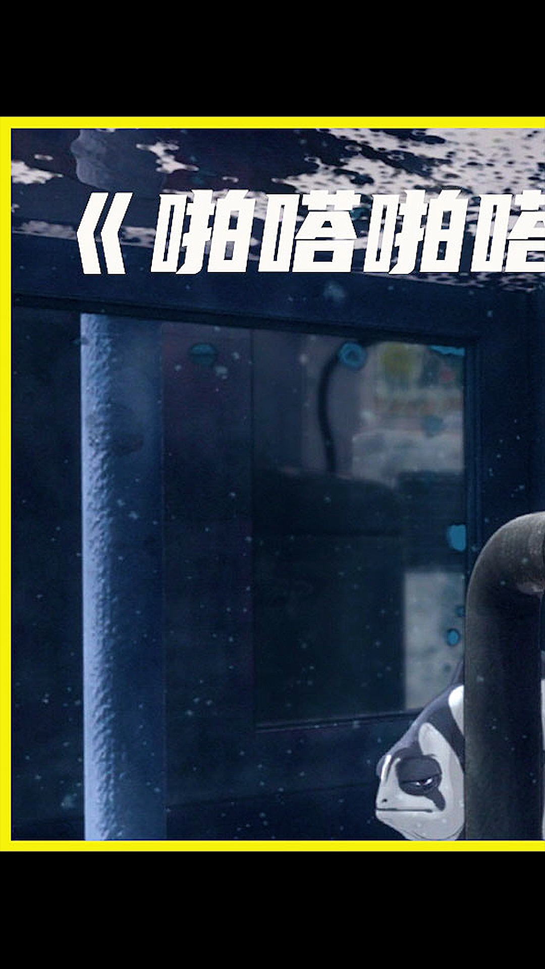 #我怎么这么好看#用鱼类的视角,看现实生活中的人类。