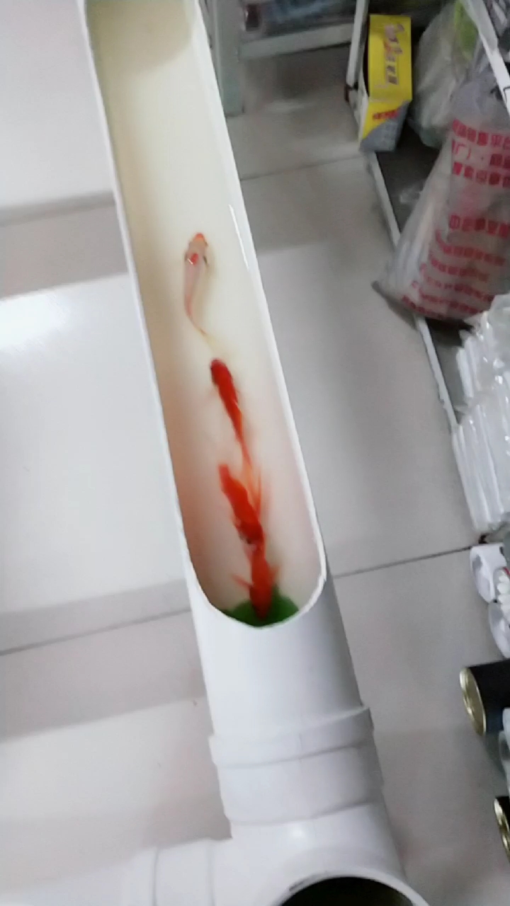 自制鱼缸茶几两用