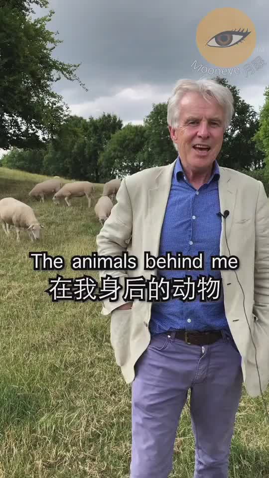 英语中“sheep”的复数形式怎么说