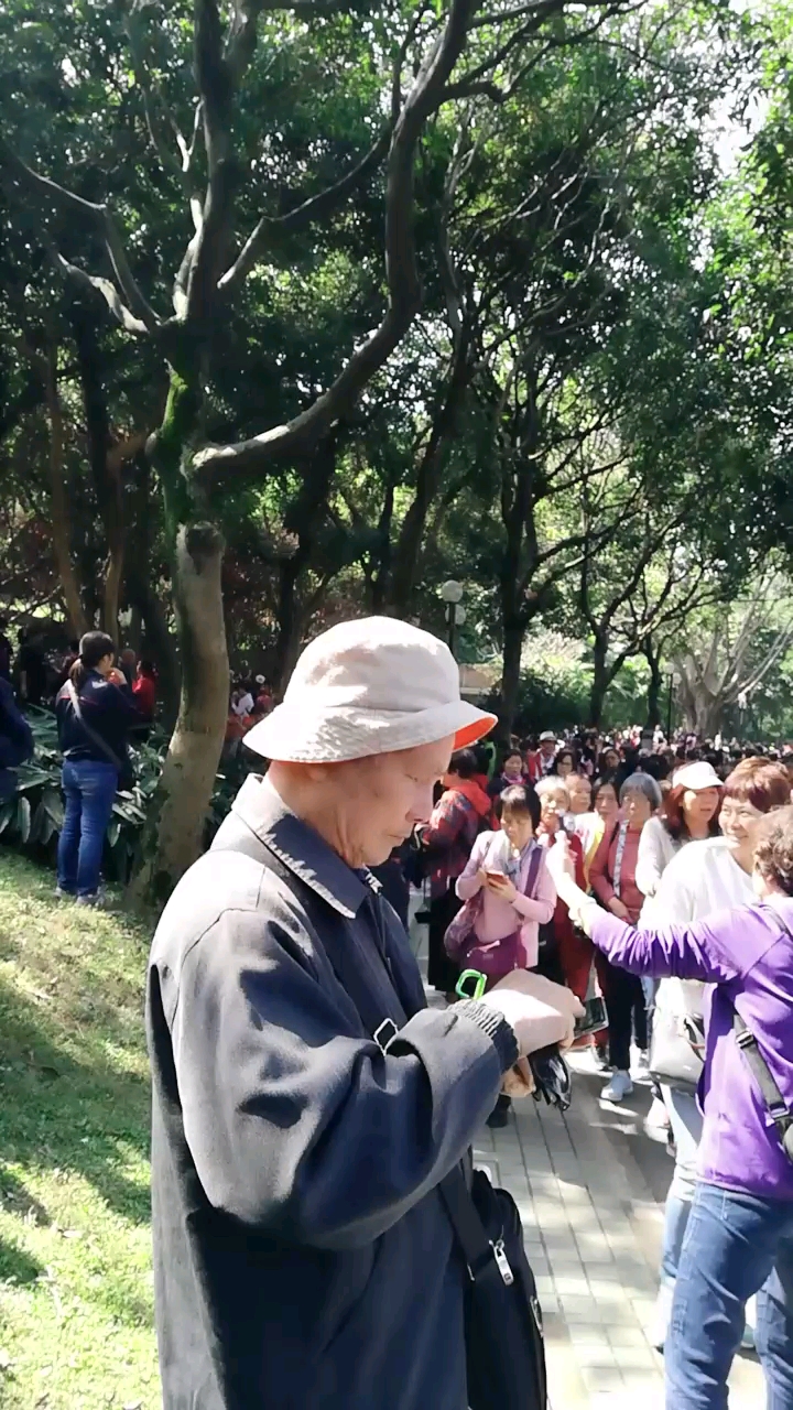 金鱼池