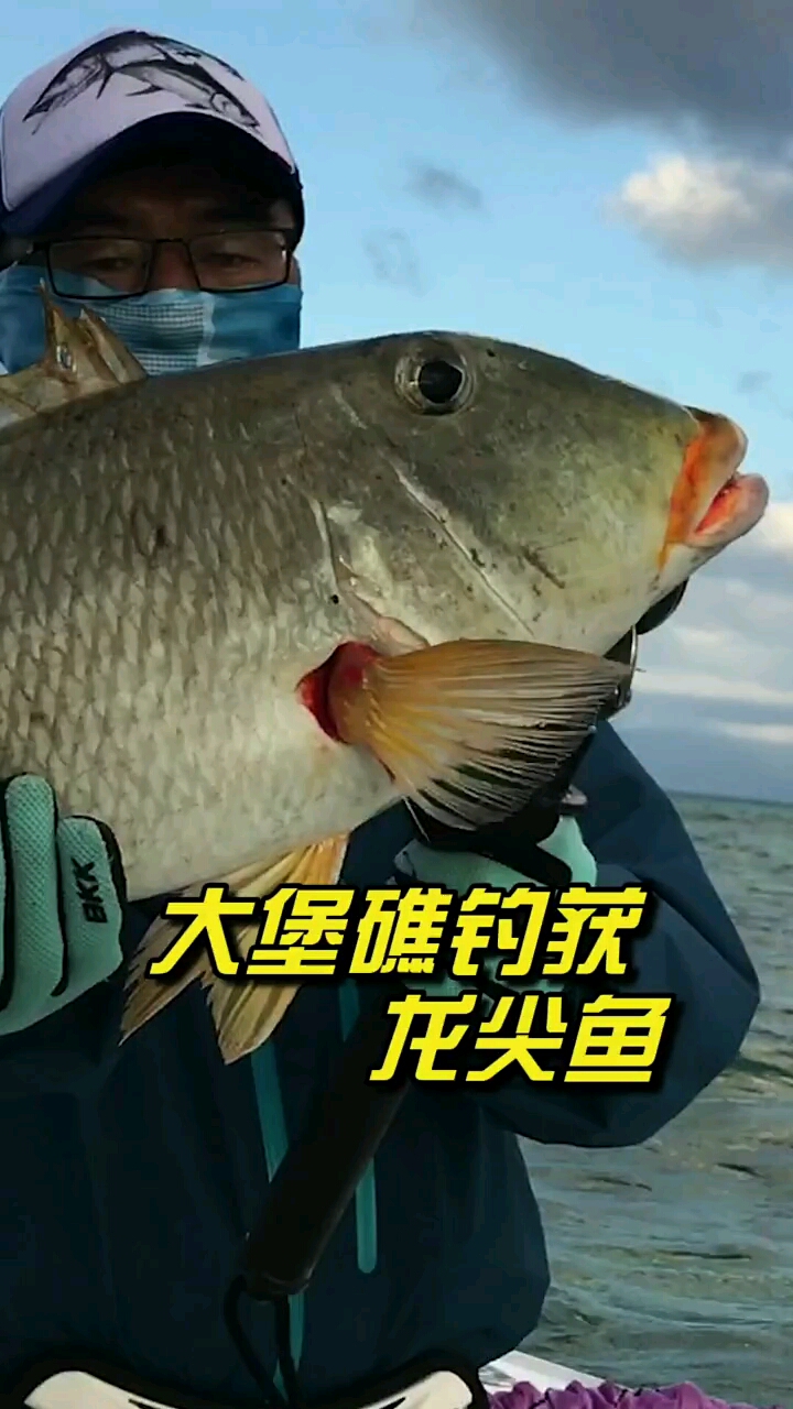 大堡礁的鱼获放掉啦!#钓遍五湖四海#在看海钓#长V