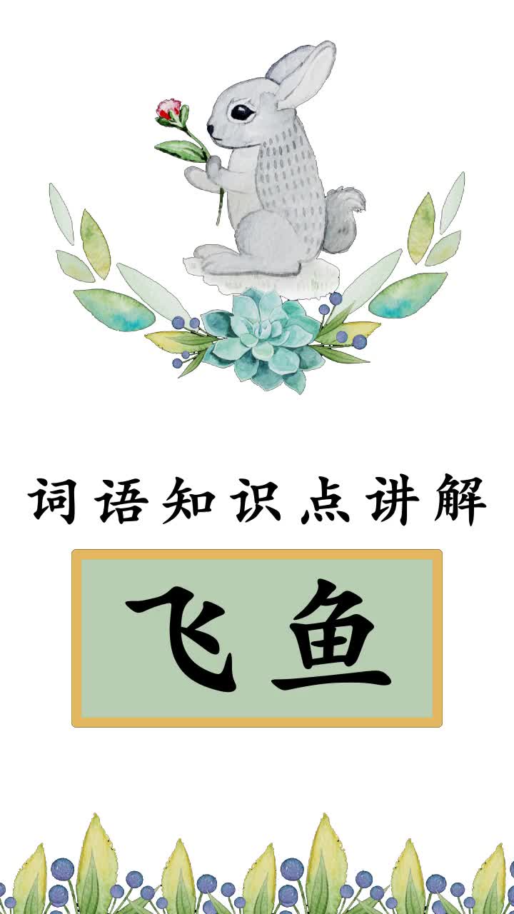 轻松学习飞鱼是什么意思