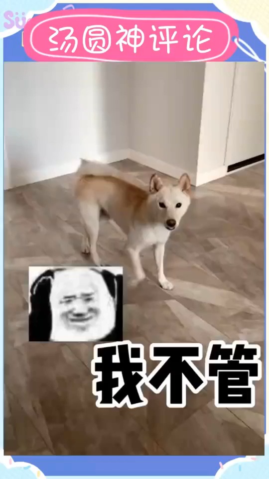 #搞笑视频#你就是妈妈的好大儿!