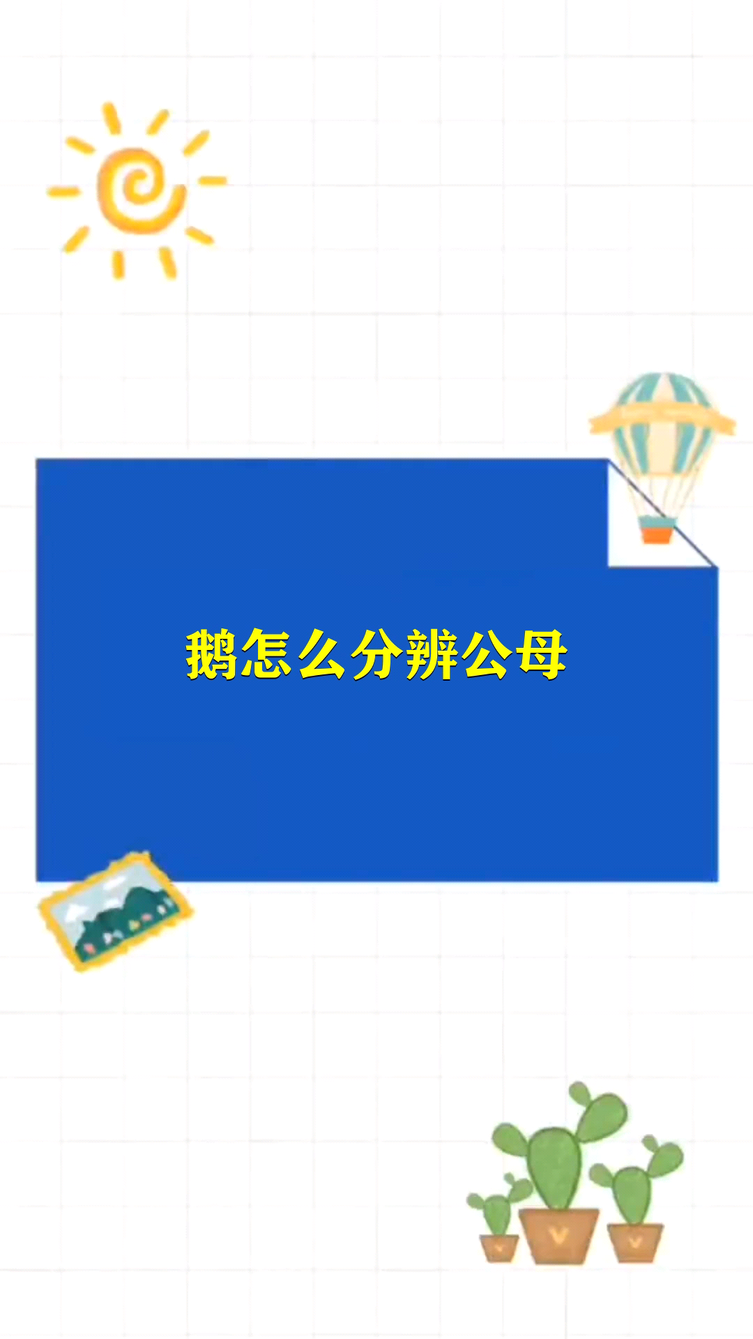 鹅怎么分辨公母 