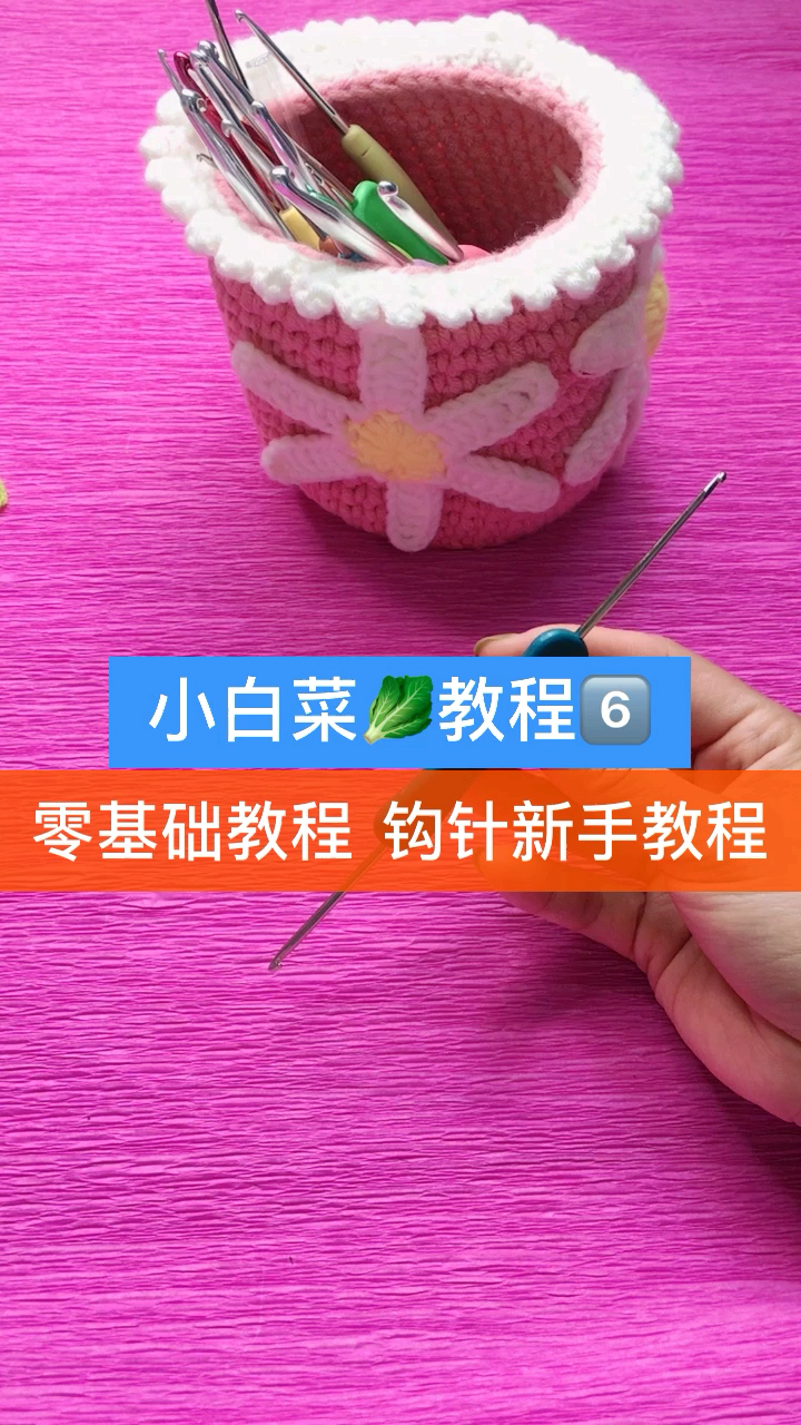 小白菜教程6