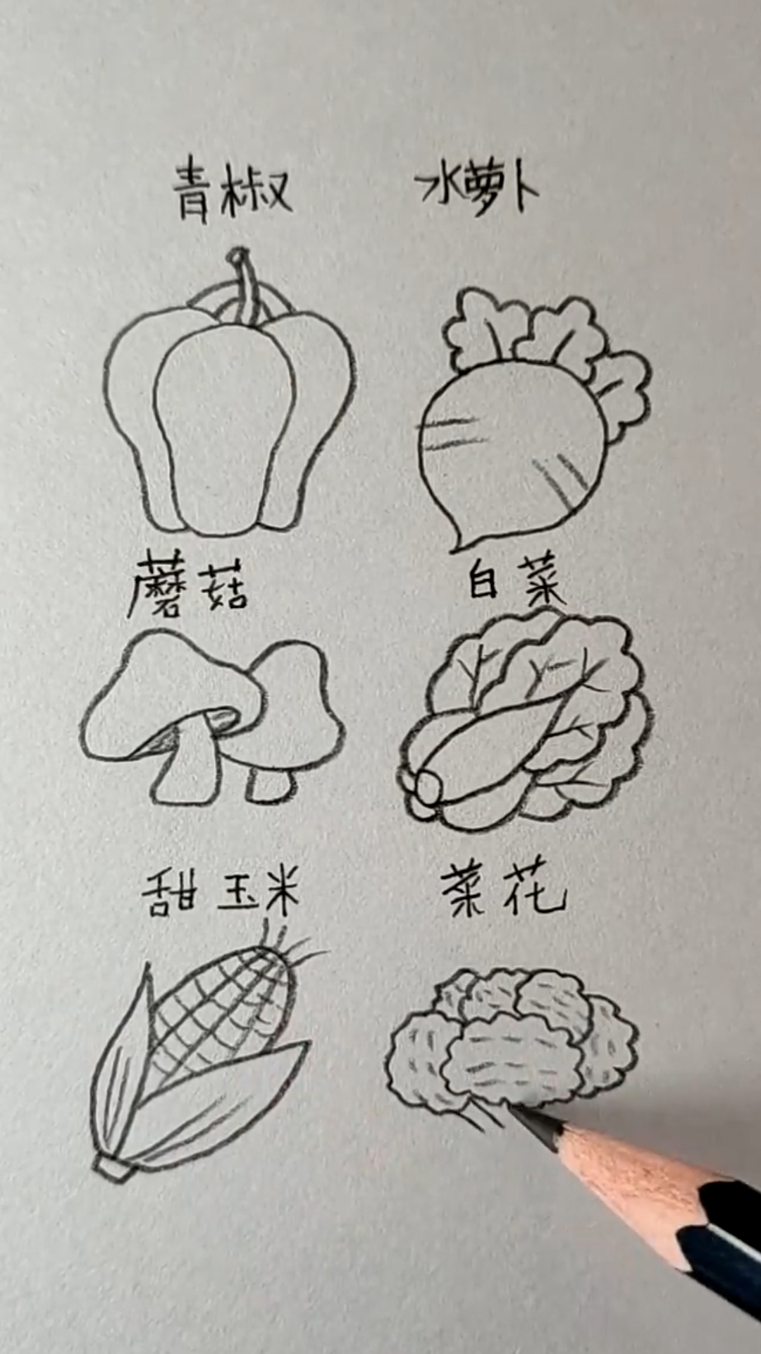 #简笔画#跟着画各种菜,简单就学会!