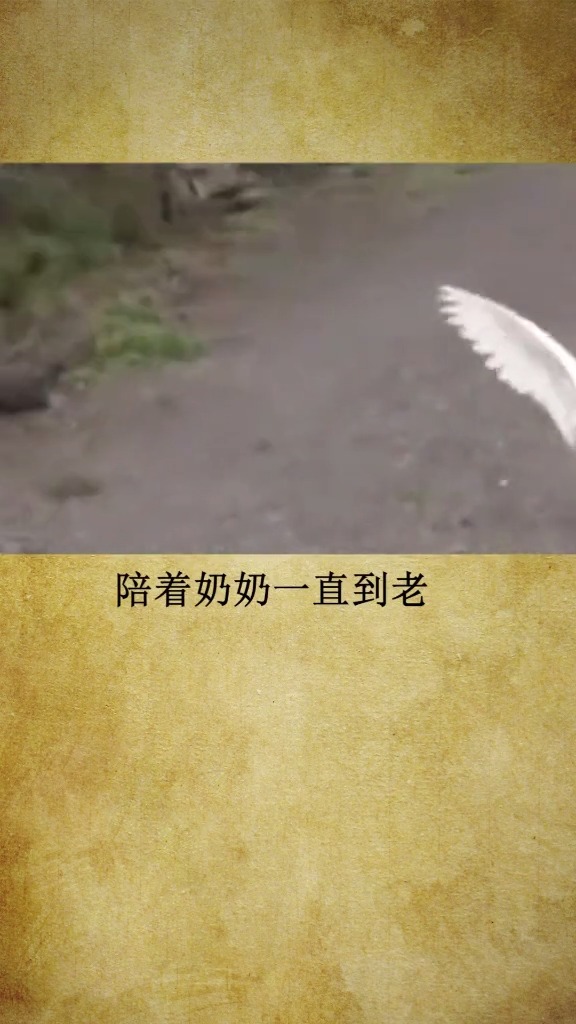 可爱 一抹即燃 动物 萌 宠物 太可爱啦 我也想拥有这样的保镖 冷知识大全 知识