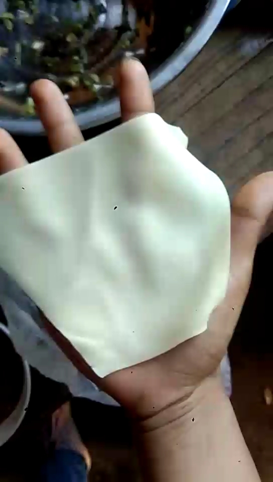 过年给大家拜年了,梯形饺皮,结果包成形状各异的了,谁会教一下我呗 