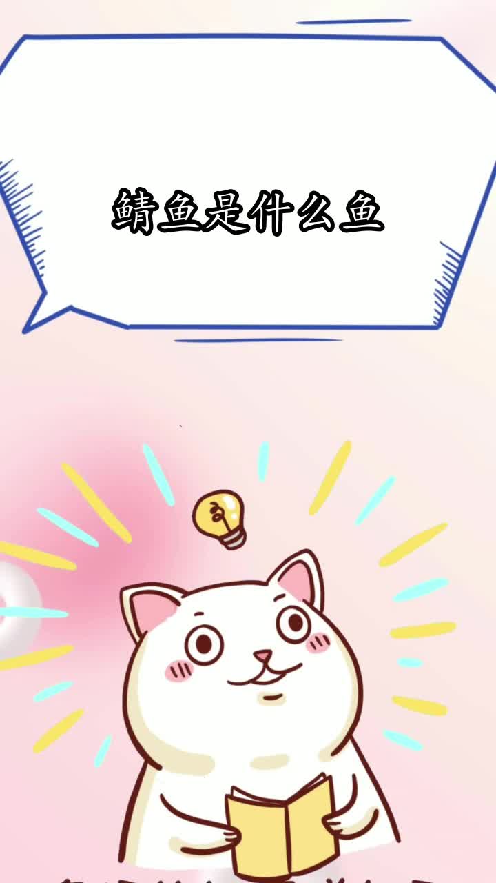 鲭鱼是什么鱼,你知晓了吗