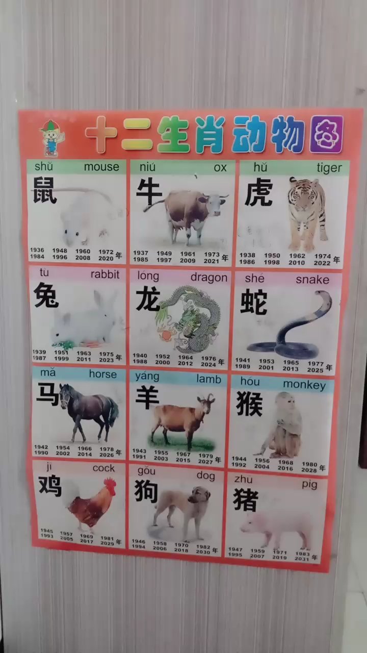 你属什么的