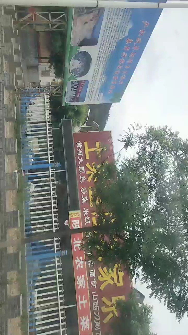 家黄河大鲤鱼炒菜米饭