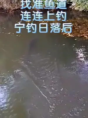老渔翁分享的钓鱼技巧 喜欢的钓鱼收藏起来!钓鱼