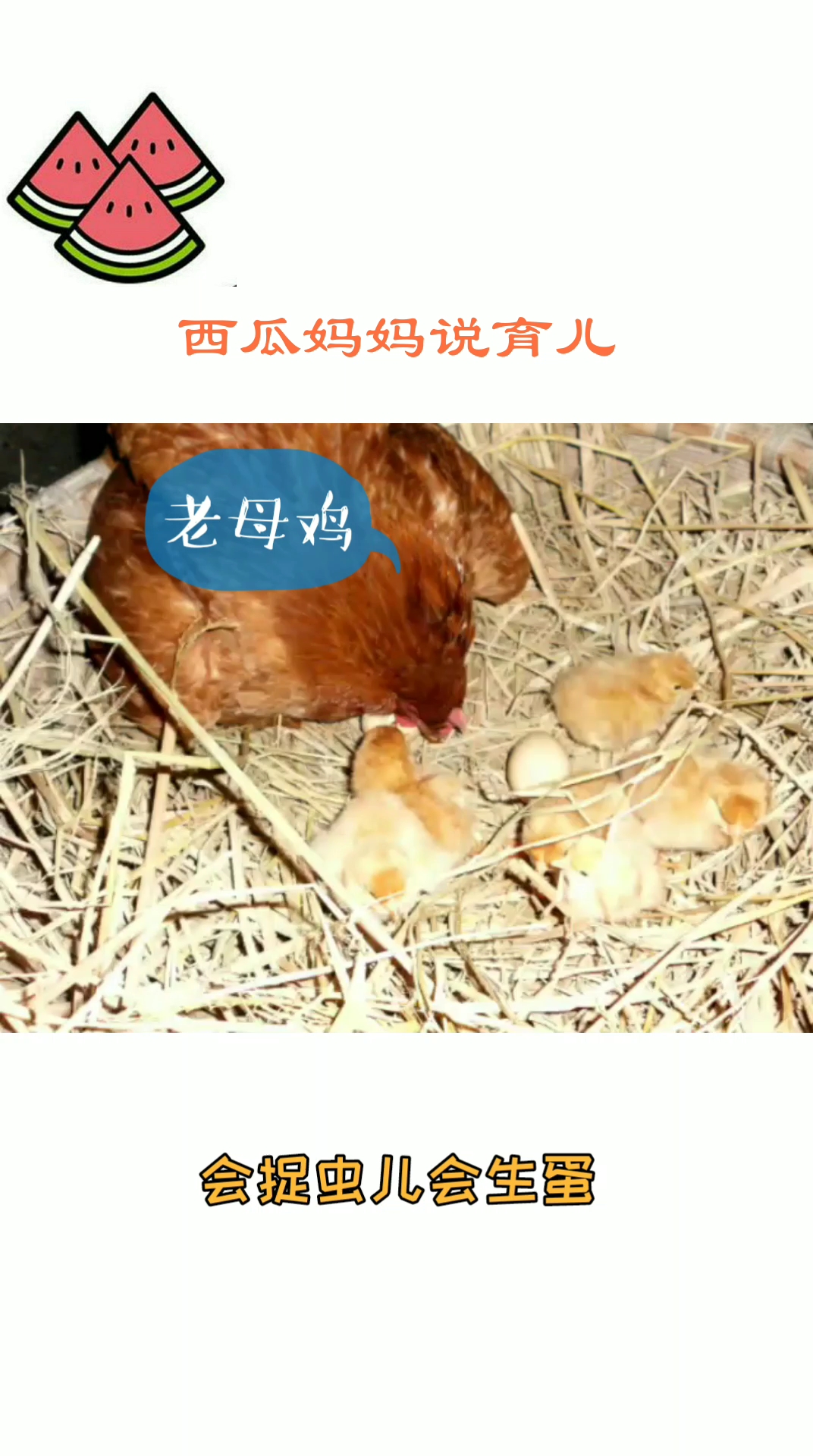 学说话儿歌30首(3)