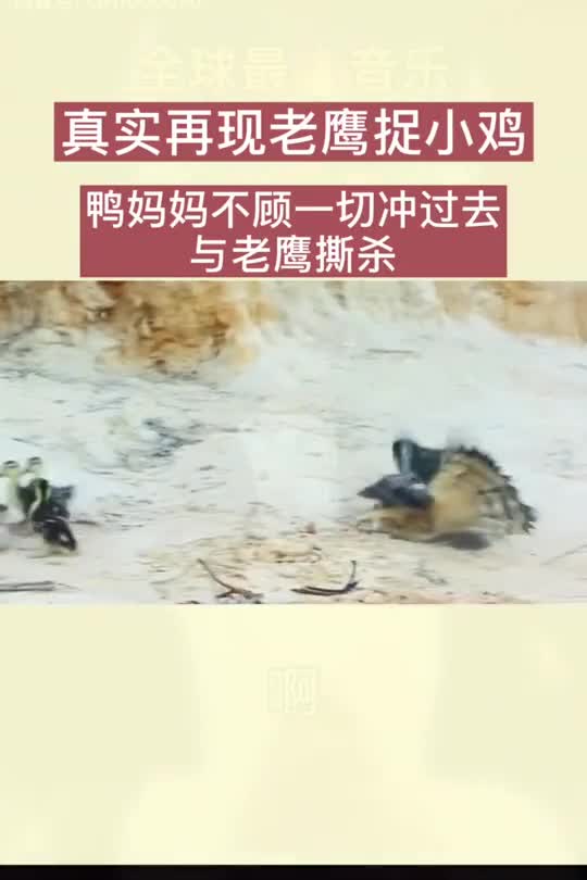 很值得看,人生百态,记住这些话(1)